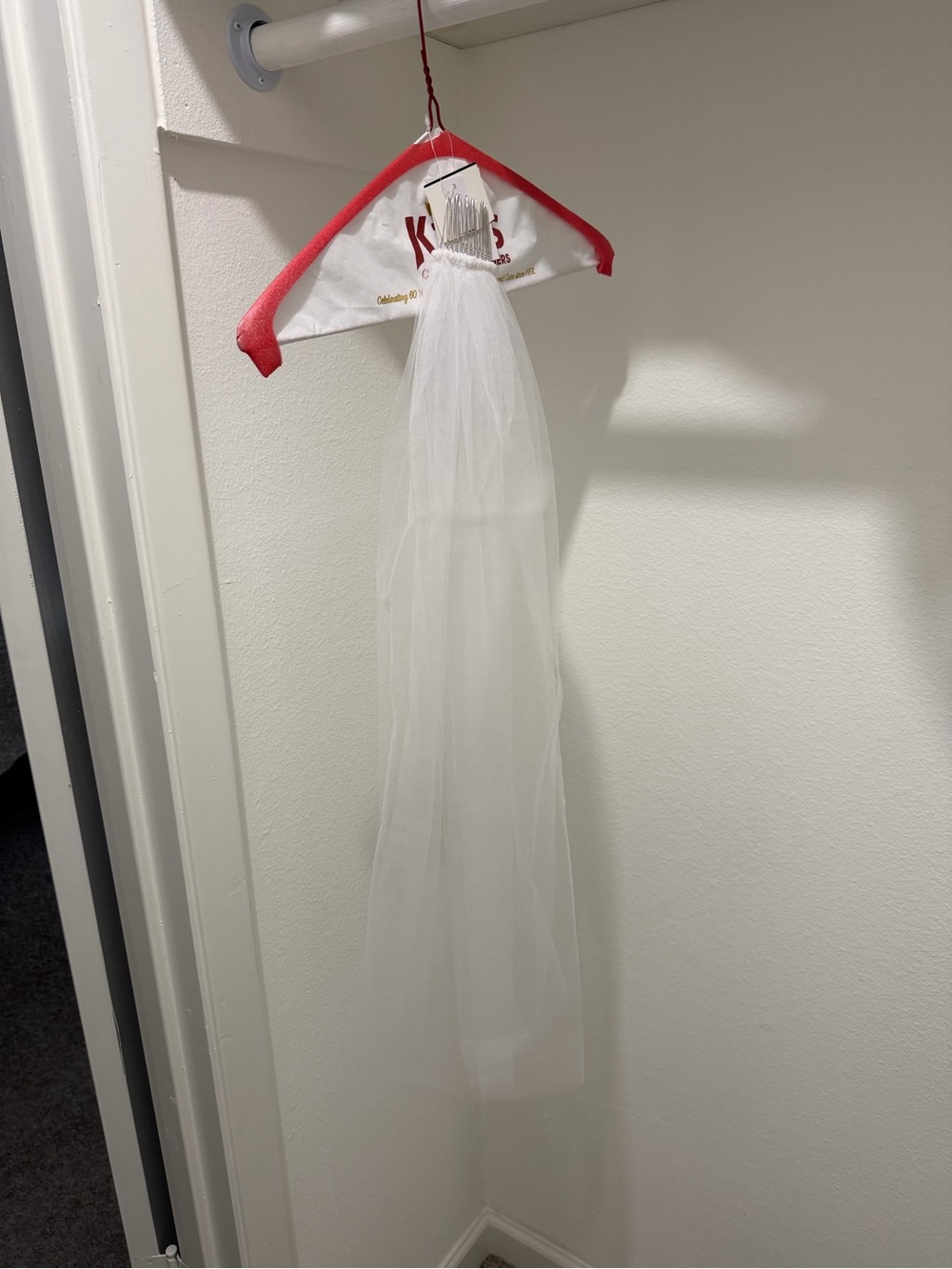 Simple David’s Bridal White Bridal Veil with Comb